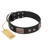 "Square Stars" Modern FDT Artisan Black Leather American Bulldog Collar with Square Plates and Studs (image for) "Square Stars" Modern FDT Artisan Black Leather American Bulldog Collar with Square Plates and Studs