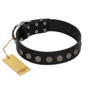 "Silent Star" Handmade FDT Artisan Designer Black Leather American Bulldog Collar with Engraved Plates (image for) "Silent Star" Handmade FDT Artisan Designer Black Leather American Bulldog Collar with Engraved Plates