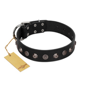"Black Knight" Handmade FDT Artisan Black Leather American Bulldog Collar with Silver-Like Studs (image for) "Black Knight" Handmade FDT Artisan Black Leather American Bulldog Collar with Silver-Like Studs