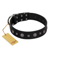 "Mr. Elegance" Designer FDT Artisan Black Leather American Bulldog Collar with Silver-Like Studs (image for) "Mr. Elegance" Designer FDT Artisan Black Leather American Bulldog Collar with Silver-Like Studs