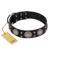 "Starry Sky" Trendy FDT Artisan Black Leather American Bulldog Collar with Large Brooches (image for) "Starry Sky" Trendy FDT Artisan Black Leather American Bulldog Collar with Large Brooches