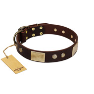 "Middle Age" FDT Artisan Brown Leather American Bulldog Collar with Old Bronze-Plated Engraved Flowers and Large Plates (image for) "Middle Age" FDT Artisan Brown Leather American Bulldog Collar with Old Bronze-Plated Engraved Flowers and Large Plates