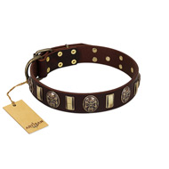 "Skull's Adventure" FDT Artisan Brown Leather American Bulldog Collar with Plates and Ovals (image for) "Skull's Adventure" FDT Artisan Brown Leather American Bulldog Collar with Plates and Ovals