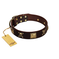 "Crazy Pirate" FDT Artisan Brown Leather American Bulldog Collar with Old Bronze-Plated Skulls and Plates (image for) "Crazy Pirate" FDT Artisan Brown Leather American Bulldog Collar with Old Bronze-Plated Skulls and Plates