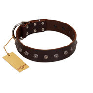 "Graceful Classic" Mod FDT Artisan Brown Leather American Bulldog Collar (image for) "Graceful Classic" Mod FDT Artisan Brown Leather American Bulldog Collar