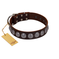 "Charming Circles" FDT Artisan Brown Leather American Bulldog Collar with Silver-like Studs (image for) "Charming Circles" FDT Artisan Brown Leather American Bulldog Collar with Silver-like Studs