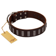 "Brown Lace" Handmade FDT Artisan Brown Leather American Bulldog Collar for Everyday Walks (image for) "Brown Lace" Handmade FDT Artisan Brown Leather American Bulldog Collar for Everyday Walks
