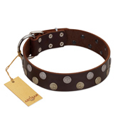 "Shadow Warrior" FDT Artisan Mystic Brown Leather American Bulldog Collar with Runes (image for) "Shadow Warrior" FDT Artisan Mystic Brown Leather American Bulldog Collar with Runes