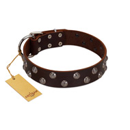 "Blossom Jewel" FDT Artisan Brown Leather American Bulldog Collar with Two Rows of Silver-like Studs with Engraved Flowers (image for) "Blossom Jewel" FDT Artisan Brown Leather American Bulldog Collar with Two Rows of Silver-like Studs with Engraved Flowers