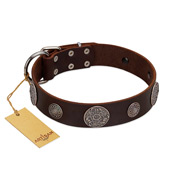 "Flashy Woof" FDT Artisan Brown Leather American Bulldog Collar with Chrome Plated Brooches (image for) "Flashy Woof" FDT Artisan Brown Leather American Bulldog Collar with Chrome Plated Brooches