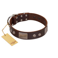 "Stone Stars" Stylish Handmade FDT Artisan Brown Leather American Bulldog Collar (image for) "Stone Stars" Stylish Handmade FDT Artisan Brown Leather American Bulldog Collar