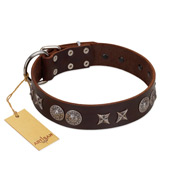 "Antique Style" Designer Handmade FDT Artisan Brown Leather American Bulldog Collar (image for) "Antique Style" Designer Handmade FDT Artisan Brown Leather American Bulldog Collar