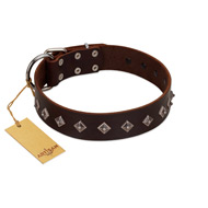 "Boundless Energy" Premium Quality FDT Artisan Brown Designer Leather American Bulldog Collar with Small Pyramids (image for) "Boundless Energy" Premium Quality FDT Artisan Brown Designer Leather American Bulldog Collar with Small Pyramids