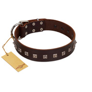 "Kingly Grace" FDT Artisan Brown Leather American Bulldog Collar with Silver-like Dotted Studs (image for) "Kingly Grace" FDT Artisan Brown Leather American Bulldog Collar with Silver-like Dotted Studs