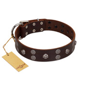 "Skull Valley" Handcrafted FDT Artisan Brown Leather American Bulldog Collar with Skulls (image for) "Skull Valley" Handcrafted FDT Artisan Brown Leather American Bulldog Collar with Skulls