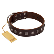 "Dark Chocolate" Handmade FDT Artisan Brown Leather American Bulldog Collar with Studs (image for) "Dark Chocolate" Handmade FDT Artisan Brown Leather American Bulldog Collar with Studs