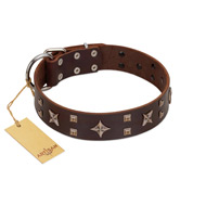 "Stars in Sands" Modern FDT Artisan Brown Leather American Bulldog Collar with Studs and Stars (image for) "Stars in Sands" Modern FDT Artisan Brown Leather American Bulldog Collar with Studs and Stars