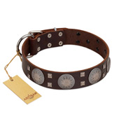 "Sun in Barchans" Modern FDT Artisan Brown Leather American Bulldog Collar with Engraved Stars on Round Plates and Studs (image for) "Sun in Barchans" Modern FDT Artisan Brown Leather American Bulldog Collar with Engraved Stars on Round Plates and Studs