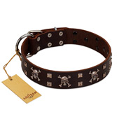 "Menacing Allure" FDT Artisan Brown Leather American Bulldog Collar Embellished with Silvery Crossbones and Square Studs (image for) "Menacing Allure" FDT Artisan Brown Leather American Bulldog Collar Embellished with Silvery Crossbones and Square Studs