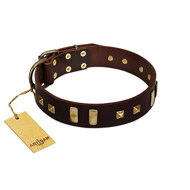 "Choco Delight" FDT Artisan Brown Leather American Bulldog Collar with Old Bronze-like Plates and Studs (image for) "Choco Delight" FDT Artisan Brown Leather American Bulldog Collar with Old Bronze-like Plates and Studs
