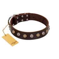 "Gape Buster" FDT Artisan Brown Leather American Bulldog Collar with One Row of Studs (image for) "Gape Buster" FDT Artisan Brown Leather American Bulldog Collar with One Row of Studs