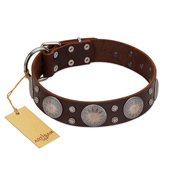 "Imperial Legate" FDT Artisan Brown Leather American Bulldog Collar with Big Round Plates (image for) "Imperial Legate" FDT Artisan Brown Leather American Bulldog Collar with Big Round Plates