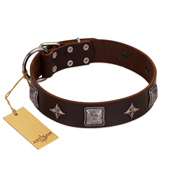 "Cold Star" Designer FDT Artisan Brown Leather American Bulldog Collar with Silver-Like Adornments (image for) "Cold Star" Designer FDT Artisan Brown Leather American Bulldog Collar with Silver-Like Adornments