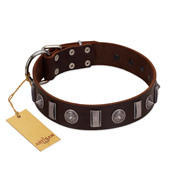"Spiky Way" FDT Artisan Brown Leather American Bulldog Collar with Silver-Like Decorations (image for) "Spiky Way" FDT Artisan Brown Leather American Bulldog Collar with Silver-Like Decorations