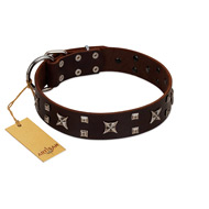 "Bigwig Woof" FDT Artisan Brown Leather American Bulldog Collar with Chrome Plated Stars and Square Studs (image for) "Bigwig Woof" FDT Artisan Brown Leather American Bulldog Collar with Chrome Plated Stars and Square Studs