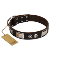 "Baller Status" FDT Artisan Brown Leather American Bulldog Collar Adorned with a Set of Chrome Plated Studs and Plates (image for) "Baller Status" FDT Artisan Brown Leather American Bulldog Collar Adorned with a Set of Chrome Plated Studs and Plates