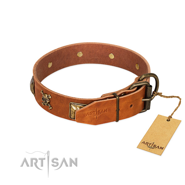 Unique full grain natural leather dog collar with rust-proof studs