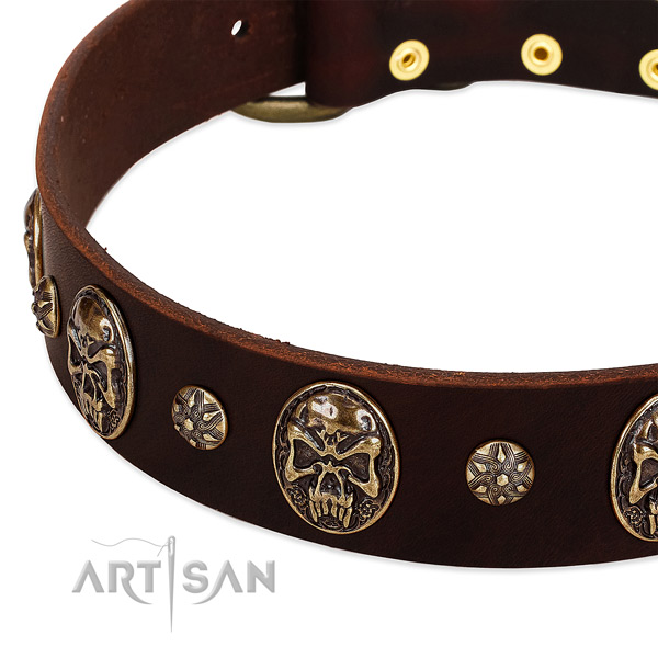Rust-proof studs on full grain leather dog collar for your doggie