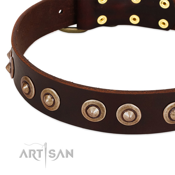Corrosion resistant embellishments on natural genuine leather dog collar for your pet