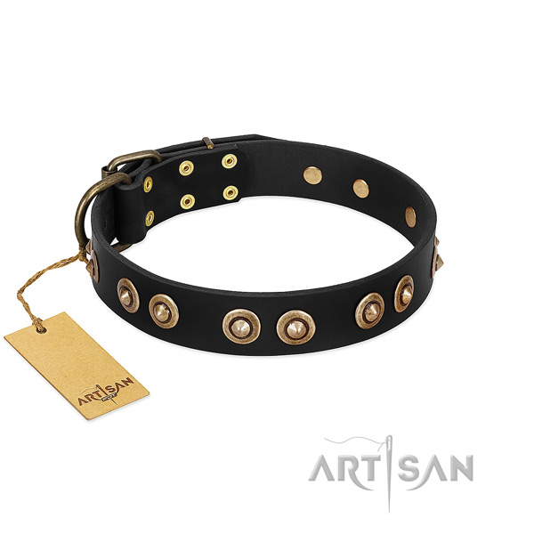 Reliable studs on natural genuine leather dog collar for your four-legged friend