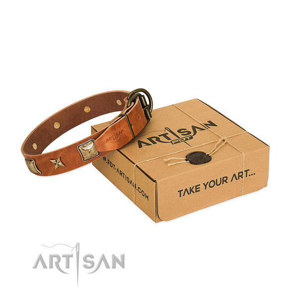 Unusual full grain natural leather collar for your attractive canine