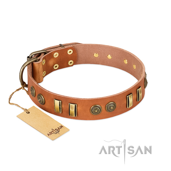Durable D-ring on full grain leather dog collar for your four-legged friend
