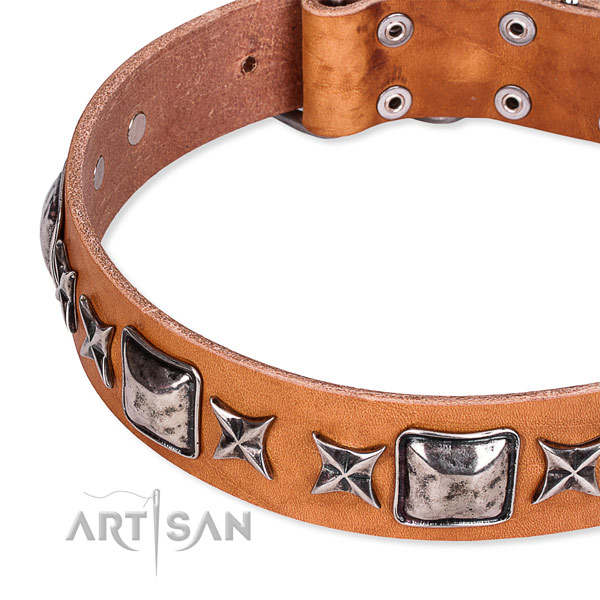 Stylish walking embellished dog collar of top quality full grain leather