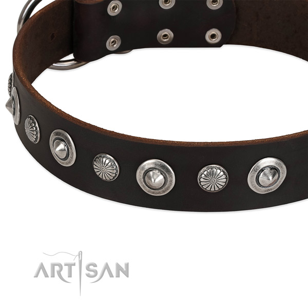 Significant adorned dog collar of finest quality full grain leather