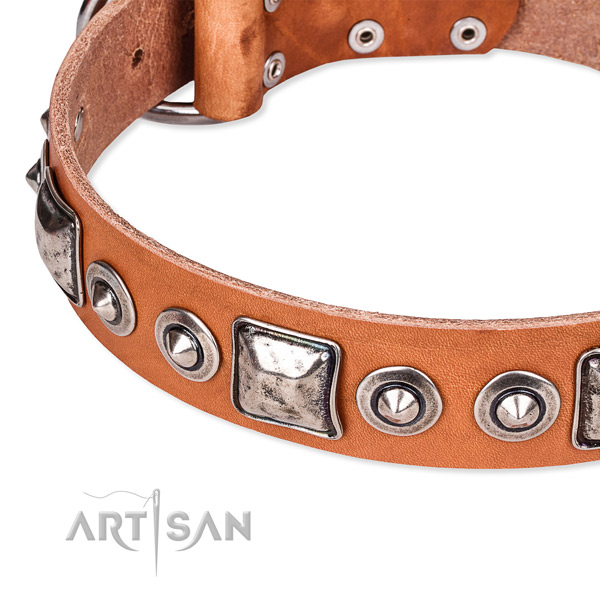 Quality leather dog collar crafted for your impressive canine