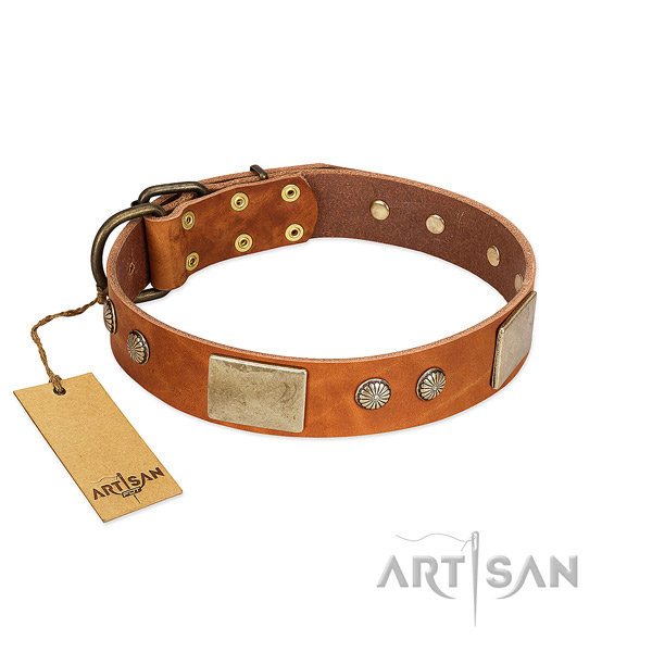 Easy adjustable natural genuine leather dog collar for everyday walking your doggie