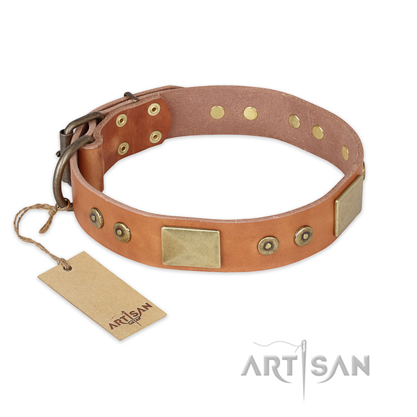 Easy wearing leather dog collar for daily walking