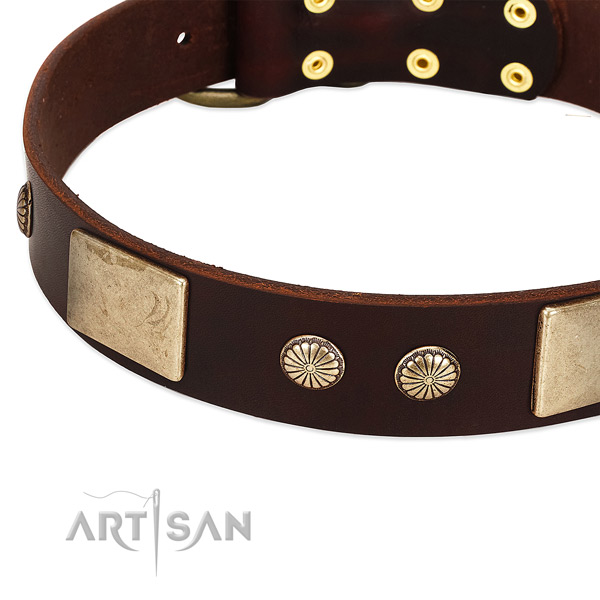 Corrosion proof buckle on full grain leather dog collar for your canine