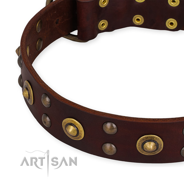Full grain genuine leather collar with strong fittings for your lovely doggie