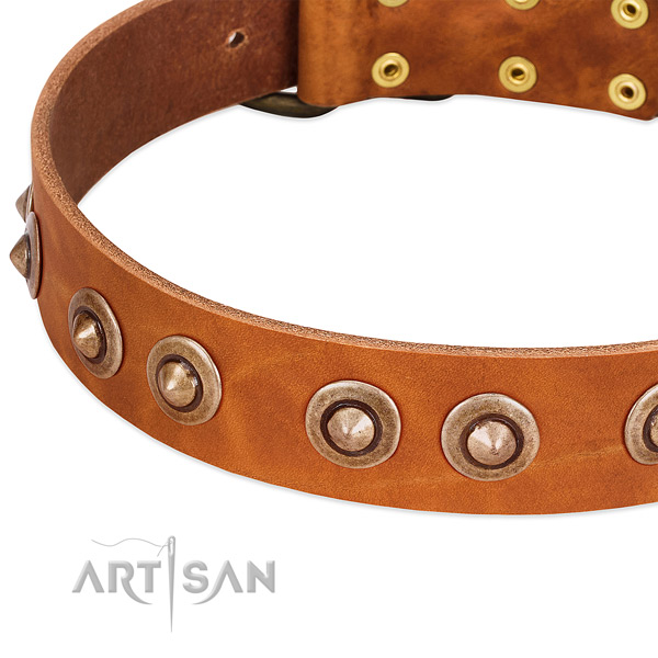 Rust resistant embellishments on genuine leather dog collar for your dog