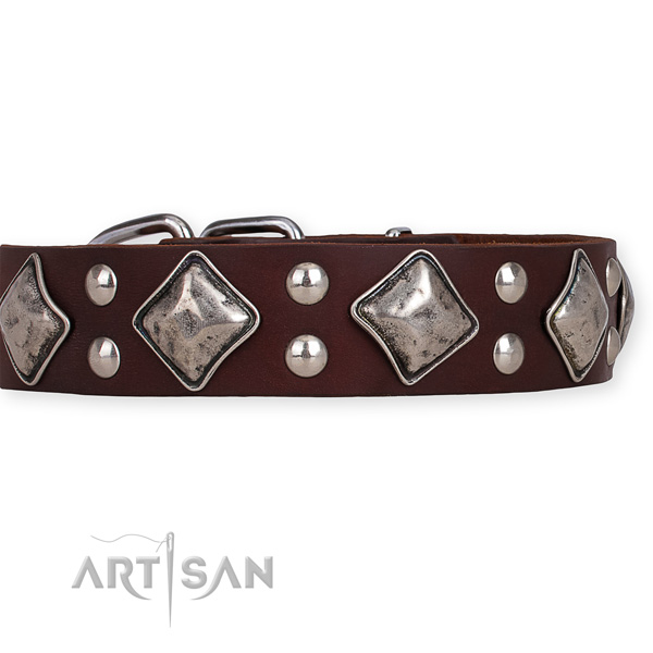Full grain genuine leather dog collar with trendy corrosion resistant embellishments