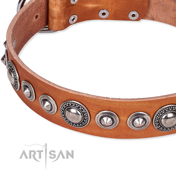 Comfy wearing embellished dog collar of fine quality full grain genuine leather