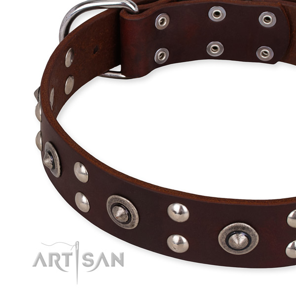 Genuine leather collar with strong buckle for your handsome dog