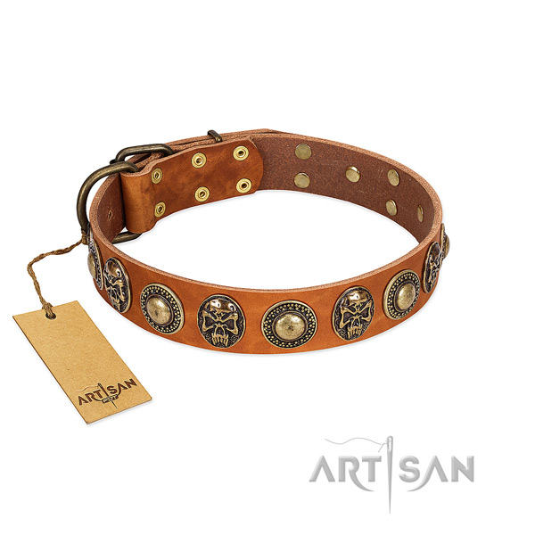 Adjustable leather dog collar for daily walking your pet