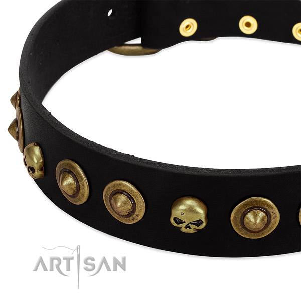 Leather dog collar with impressive adornments