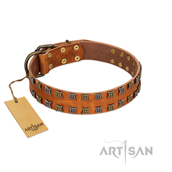 Top rate full grain natural leather dog collar with studs for your four-legged friend